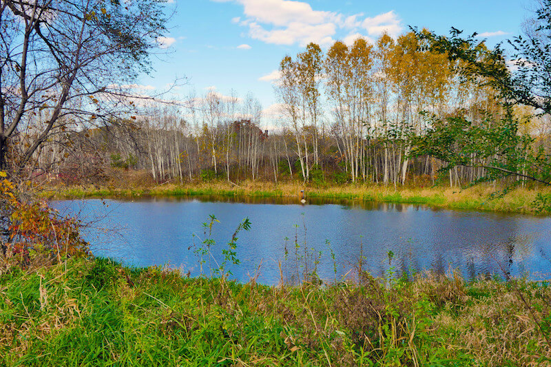 Hyland Lake Park Preserve in Bloomington, Minnesota